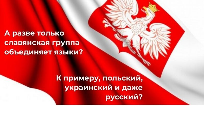 польский флаг и польский язык