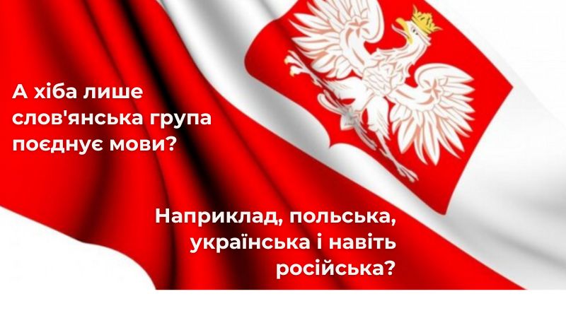 польський прапор та польська мова